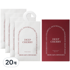 에이센트 퍼퓸 샤쉐 본품 L, 20g, 20개, 딥체리