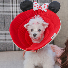 Pet Daily 寵物迷你公主頸圈 頸部保護套 L, 1個