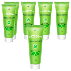 Jollyard 潔麗雅 麥蘆卡蜂蜜修護霜 75g, 6瓶