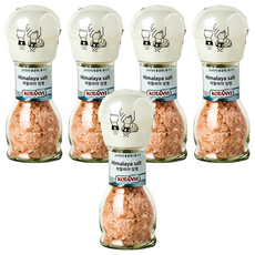 코타니 히말라야 암염, 88g, 5개