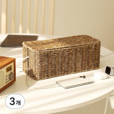 Nature Living Daisy Garden藤編延長線收納盒, 單色, 3個