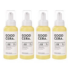 홀리카홀리카 굳세라 수퍼 세라마이드 포밍워시, 160ml, 4개