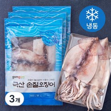 곰곰 국산 손질 오징어, 600g, 3개