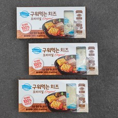 덴마크 구워먹는 치즈, 125g, 1개입, 3개