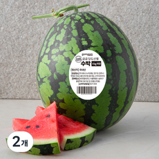 곰곰 당도선별 수박, 3kg 이상, 2개