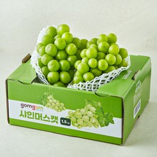곰곰 당도선별 샤인머스켓, 1.5kg(2~3수), 1박스