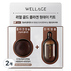 웰라쥬 리얼 골드 콜라겐 원데이 키트, 2개