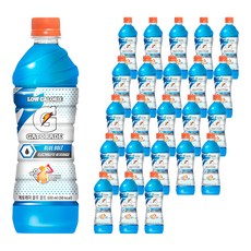 게토레이 블루 볼트, 600ml, 24개