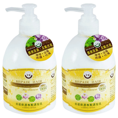 YR 葉璐芝 重建修護極順護髮乳 受損髮專用, 300ml, 2瓶