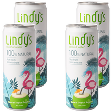 Lindy's 100%原味椰子水, 310ml, 4罐