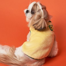 DOG-i 小狗水果背心, 酪梨