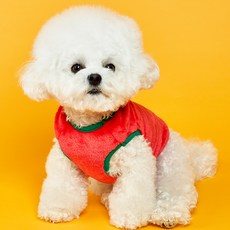 DOG-i 小狗水果背心, 草莓