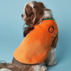 DOG-i 小狗水果背心, 胡蘿蔔