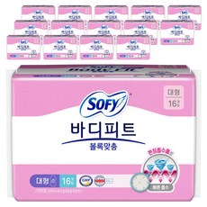 바디피트 볼록맞춤 생리대 날개형, 대형, 16개입, 15개