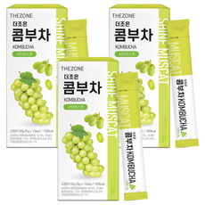 더존건강 더조은 콤부차 샤인머스켓, 5g, 10개입, 3개