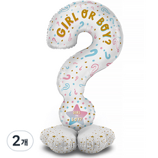 그라보벌룬 은박풍선 스탠딩에어벌룬 젠더리빌퀘스천마크 119cm, 혼합색상, 2개