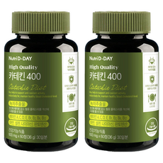 뉴트리디데이 녹차 카테킨 400, 60정, 2개