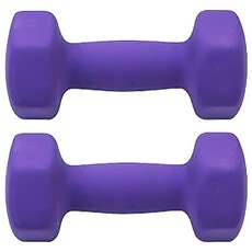 三次方 塑身小啞鈴, 5Kg 紫色 居家健身復健使用, 2個