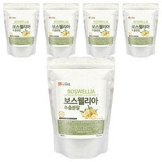 갑당약초 보스웰리아추출분말 실속형 지퍼백, 5개, 200g