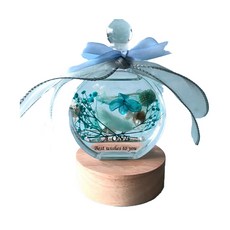 A-ONE 匯旺 浮游花DIY花材包 Set, 天然植物乾燥花, H06 藍夜星辰 彩色