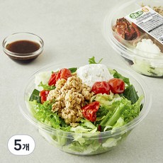 샐러드g 리코타 발사믹 샐러드, 160g, 5개