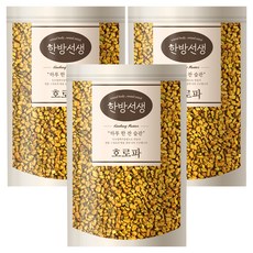 한방선생 호로파 씨앗 특품, 600g, 3개