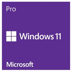 Microsoft 微軟 Windows 11 專業中文版 64位元隨機版, FQC-10523