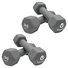 Valansis 美容啞鈴灰色2kg, 4個