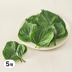 국내산 친환경 깻잎, 30g, 5개