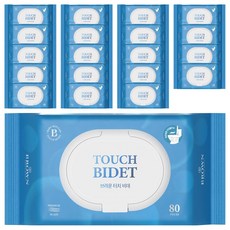브라운 터치 비데 물티슈 물에 잘 녹는 화장실용 저자극 비데티슈 캡형, 55g, 80매입, 20개