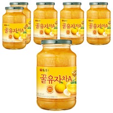 담터 꿀유자차A, 1kg, 6개, 1개입