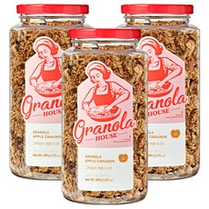 그래놀라하우스 그래놀라 애플시나몬, 300g, 3개