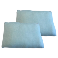 J&N 寧彩涼感抱枕 Set 90%尼龍 10%聚酯纖維, 藍色, 2個