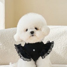 퍼피드림 반려동물 봉봉 프릴 레이스 나시 티셔츠 10028, 블랙, 1개
