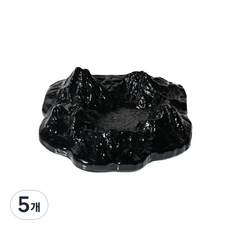 마운틴 애쉬트레이, 블랙, 5개