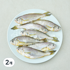 산지직송 일품 법성포 선별참조기 (냉장), 2개, 560g(대, 7미)