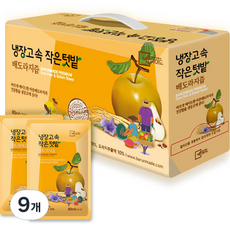 냉장고 속 작은 텃밭 배도라지즙, 2.4L, 9개