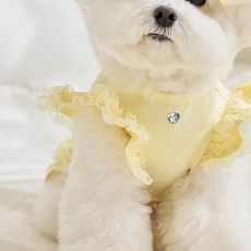 퍼피드림 반려동물 봉봉 프릴 레이스 나시 티셔츠 10028, 옐로우, 1개