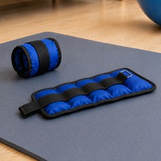 루아즈 헬스 손목 발목 웨이트 중량밴드 모래주머니 2p, 블루, 1kg