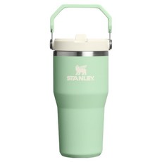 스탠리 아이스플로우 플립 스트로 2.0 텀블러, 피스타치오, 591ml, 1개