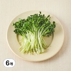 친환경 무순, 6개, 30g