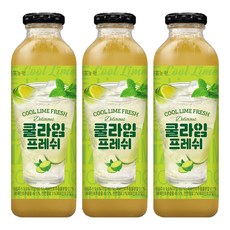 다농원 쿨라임 프레쉬, 600g, 3개