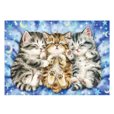 創彩 鑽石畫 ZSD3409 30 x 40cm 睡覺小貓 DIY鑽石畫套裝, 1組