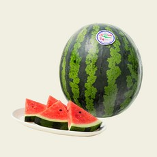 프리미엄 우곡 그린 수박, 1개, 10kg미만