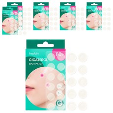 비플레인 시카테롤 스팟패치, 6개, 110개입