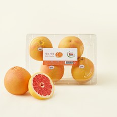 돌 남아공산 점보 자몽 4개입, 1개, 1.6kg