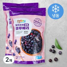 딜리조이 냉동 블루베리, 1kg, 2개