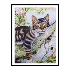 創彩 5D鑽石畫 40x30cm, 小懶貓, 1組