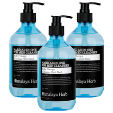 나드 올인원 남성청결제, 500ml, 3개