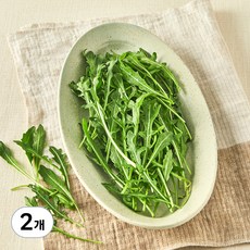 유기농 와일드 루꼴라, 100g, 2개